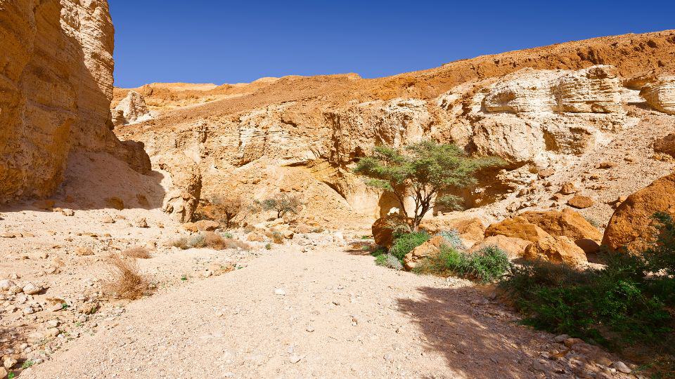 מדבר הנגב